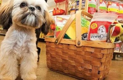 بهترین پت شاپ‌ های تهران کدامند؟