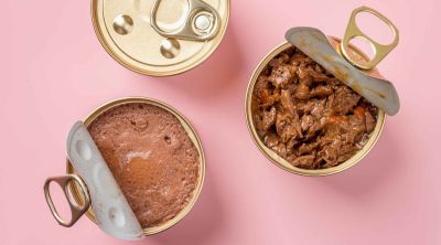 4 اشتباه رایج صاحبان حیوانات خانگی در خرید غذا و لوازم